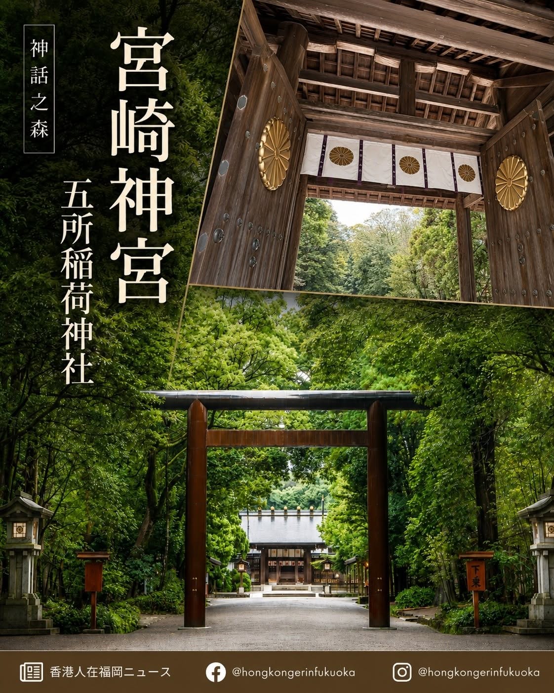 宮崎神宮 Miyazaki Jingu 神話之森與五所稻荷神社,木造鳥居、深綠參道與莊嚴神門展現宮崎神話聖地氣氛